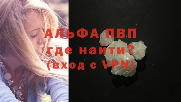 ешки Белокуриха