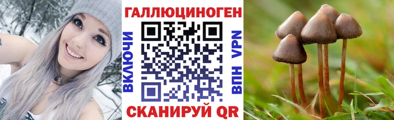Галлюциногенные грибы Cubensis  блэк спрут зеркало  Чусовой  цена  
